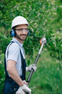 gardener trimming hedges