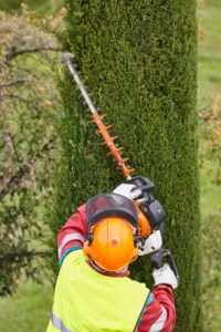 Equiped worker pruning a tree on a crane. Gardening works